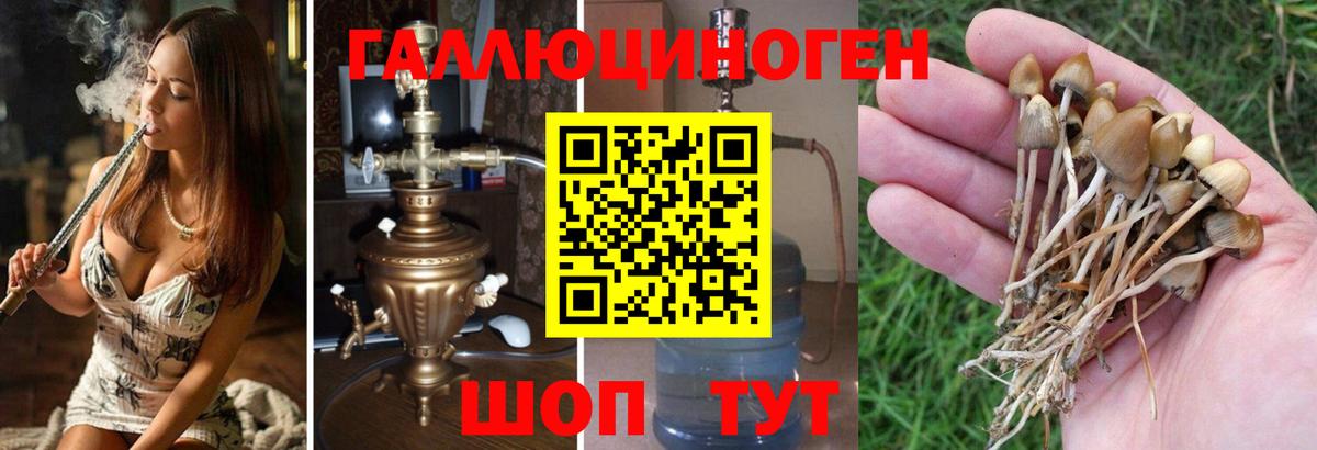 Псилоцибиновые грибы прущие грибы Каменка