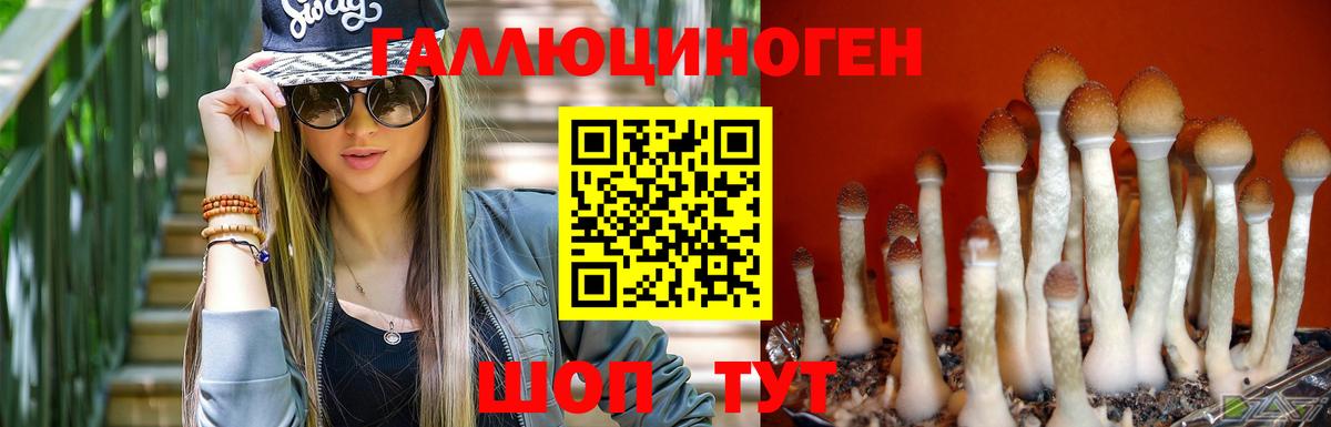 Псилоцибиновые грибы Psilocybe  Вход с VPN  Галлюциногенные грибы Psilocybine cubensis  Каменка 